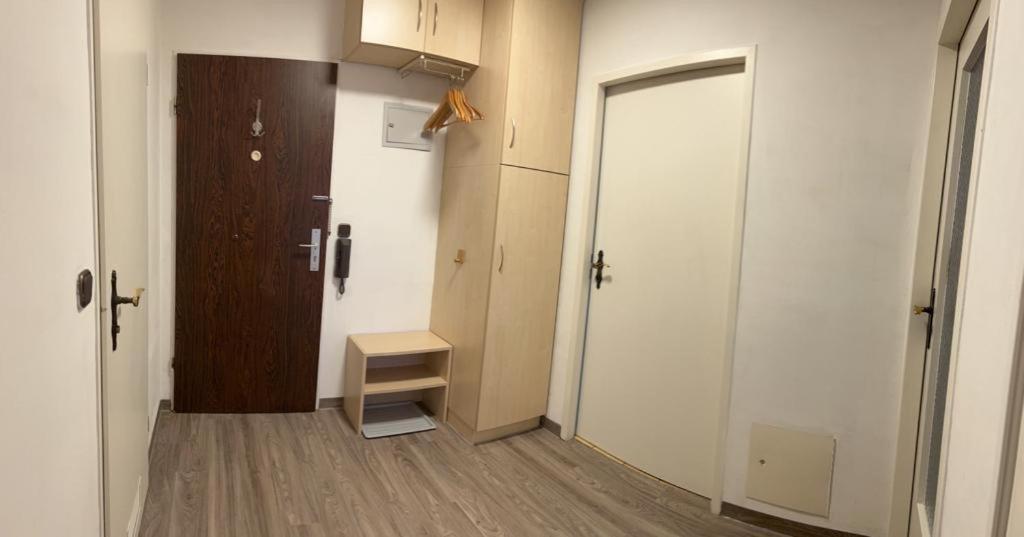 Reichenbach Apartment 巴特莱辛哈尔 外观 照片